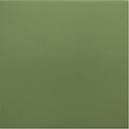 Керамогранит Rivoli Green 20x20 Equipe